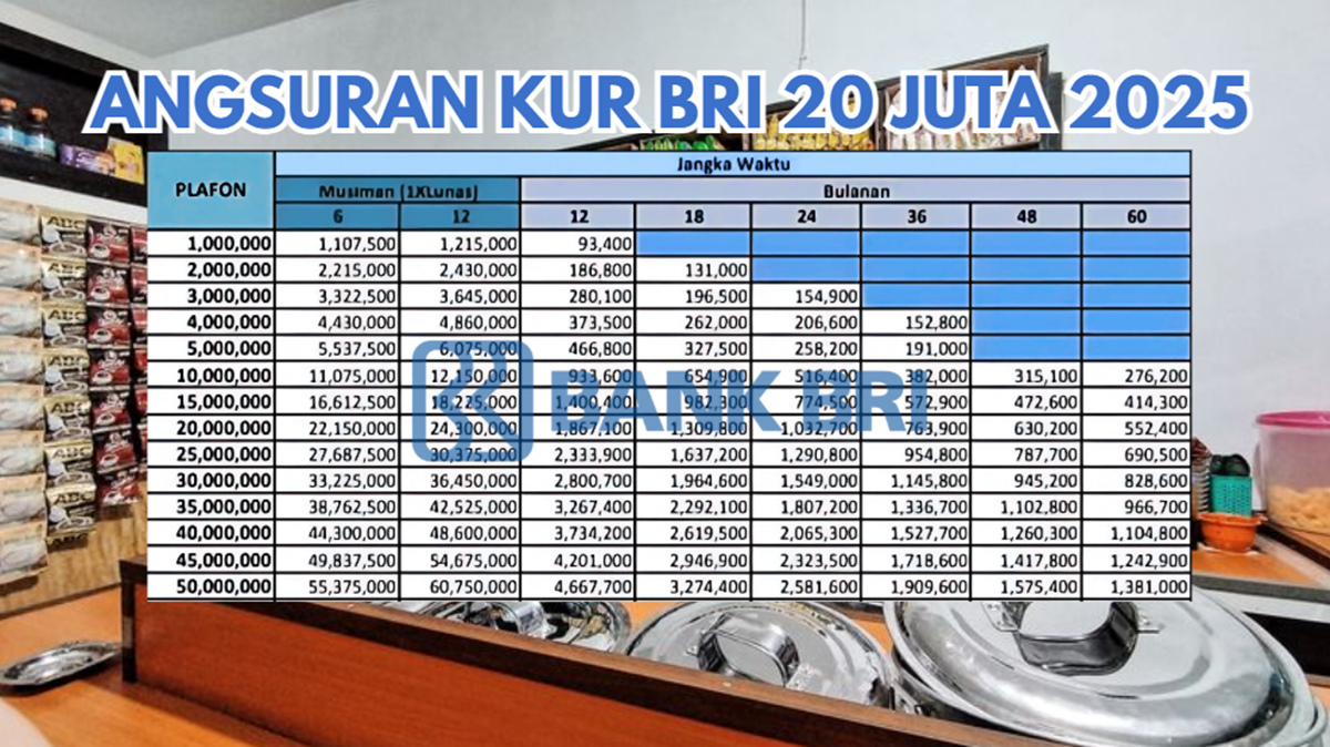 UMKM Wajib Tau! Sekarang Bisa Pinjam KUR BRI 20 Juta, Dapatkan Cicilan Ringan Cuman 400 Ribuan Cek Caranya