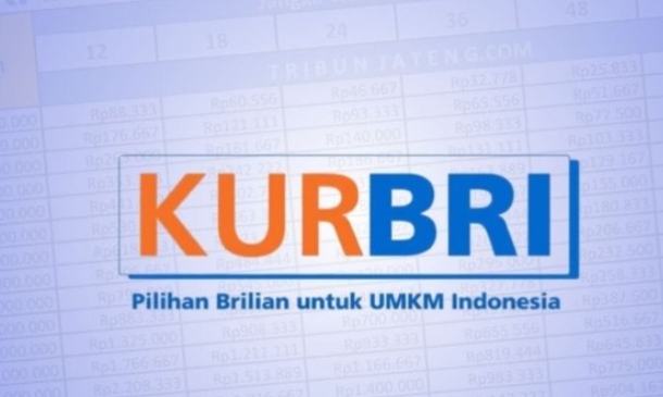 Mudah dan Terjangkau! Begini Cara Dapat Rp250 Juta Lewat KUR BRI 2025, Simak Caranya Berikut Ini! 
