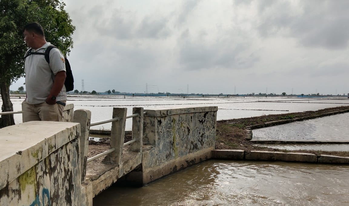 Sering Kebanjiran, Petani di Bangodua Minta Saluran Pembuangan Buk Semuruk Dinormalisasi