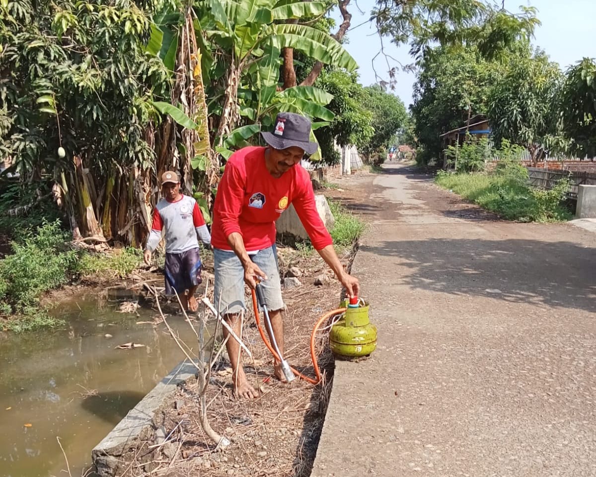 Lahan di Rusak Tikus Poktan Rawa Kidang Langsung Gerak Cepat 