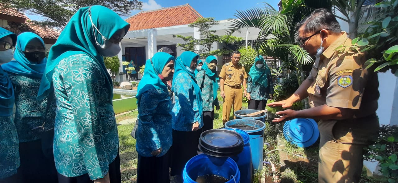 Dorong Posyandu Budi Daya Lele dalam Ember