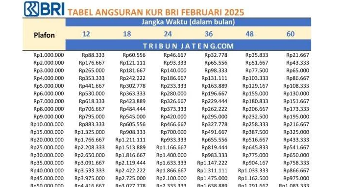Simulasi Angsuran KUR BRI: Berapa Cicilanmu Kalau Ambil Pinjaman Rp50 Juta?