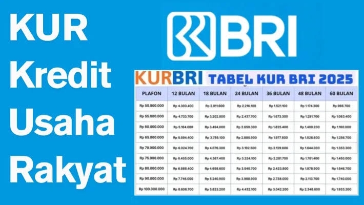 Tabel Angsuran KUR BRI 2025 Terbaru! Tenor Maksimal Cicilan Rp 21.667 Ribu, UMKM Wajib Tahu Estimasi Ini
