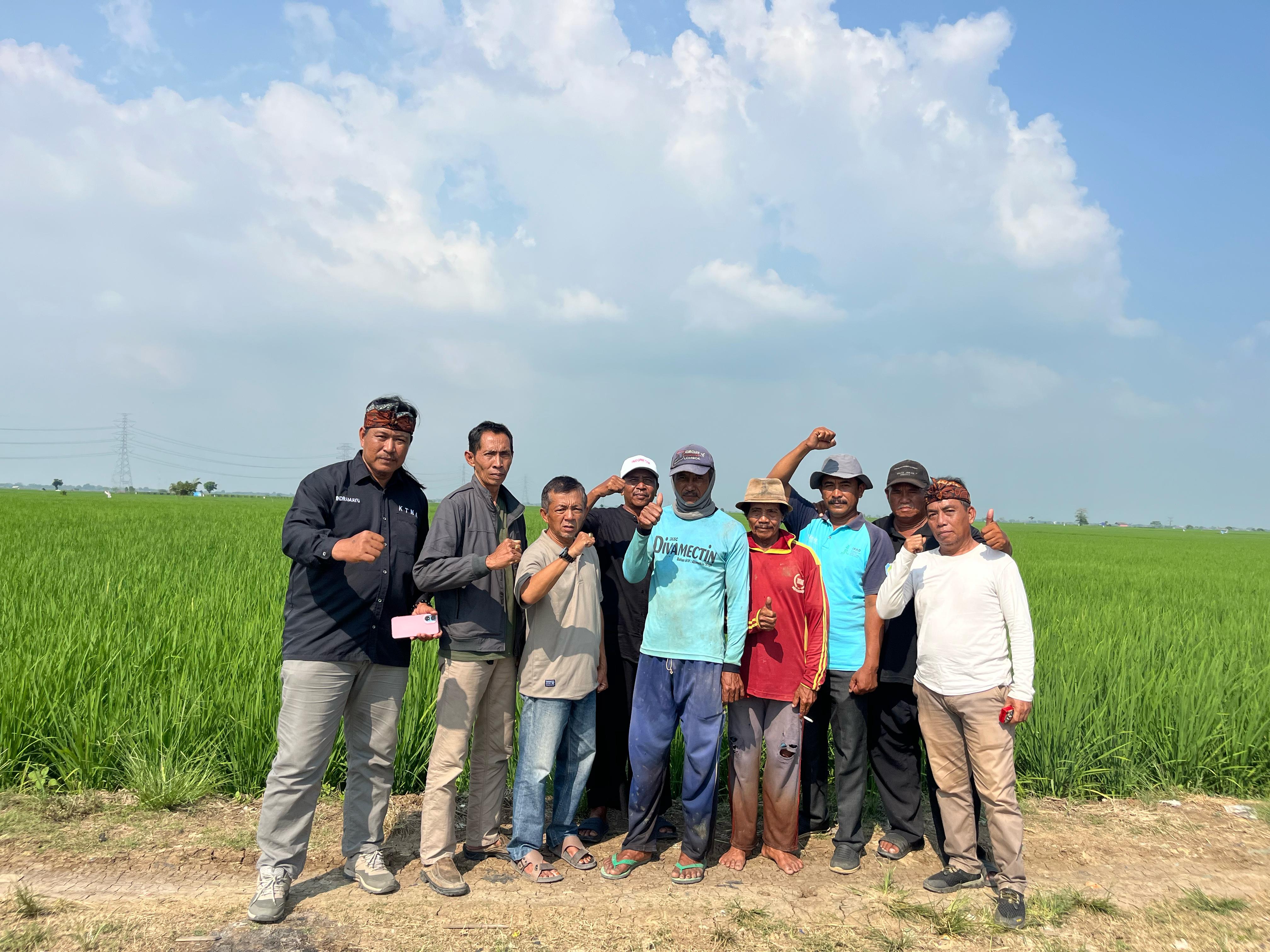Tinjau Langsung Kondisi Sawah, KTNA Pastikan Pasokan Air bagi Petani di Indramayu Tetap Terjaga