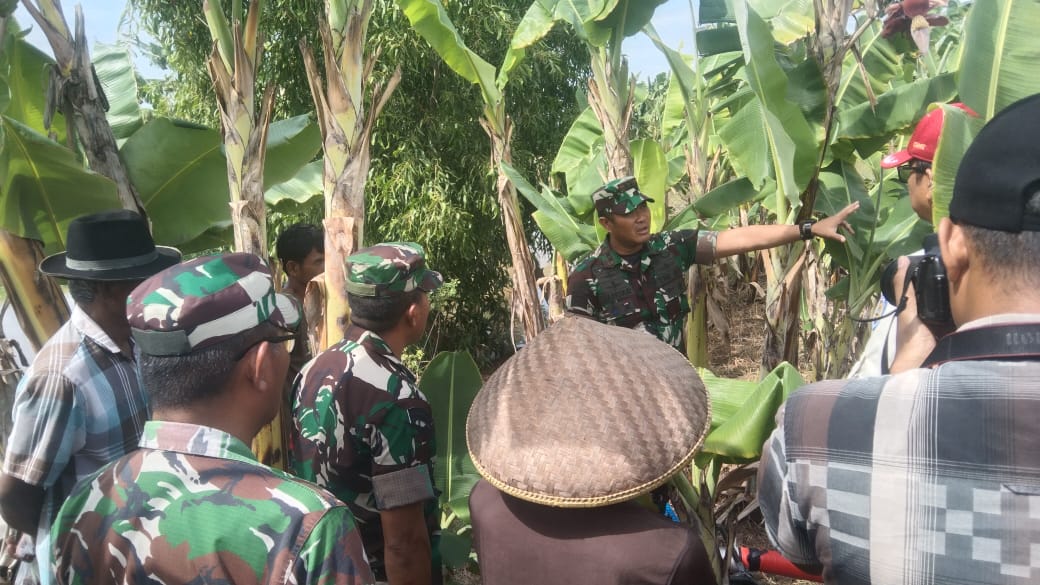 Dandim Letkol Infantri Yanuar Turun ke Sawah, Cek Langsung Bantuan Mesin Pompa Air