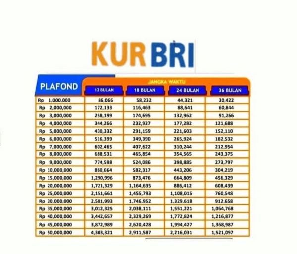 Cicilan Rendah Mulai Rp19.167, Ini Update Terbaru Angsuran KUR BRI 2025 Dengan Bunga dan Cicilan Rendah