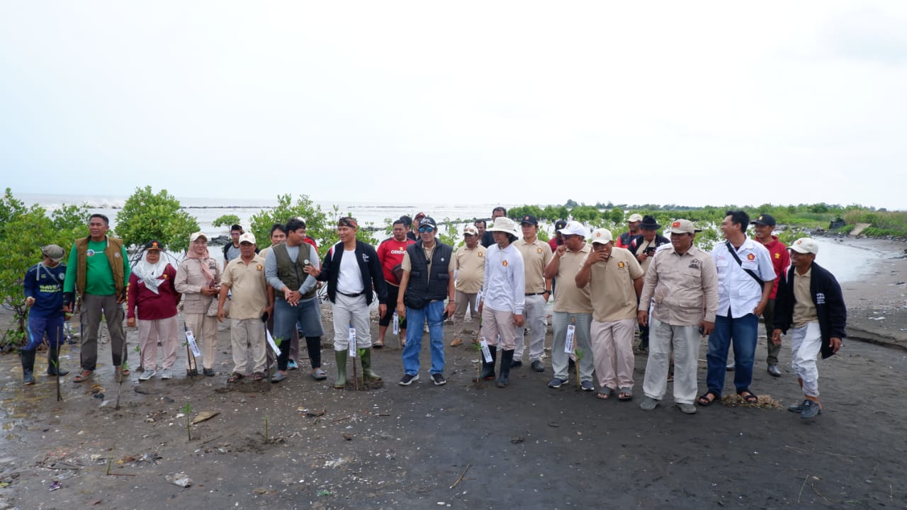 Cegah Abrasi, DPC Gerindra Indramayu Tanam Ribuan Mangrove di Pesisir Desa Tanjakan
