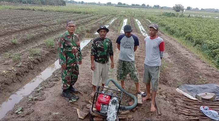 Petani Tersenyum, Kodim 0616 Indramayu Salurkan Bantuan Pompa Air 