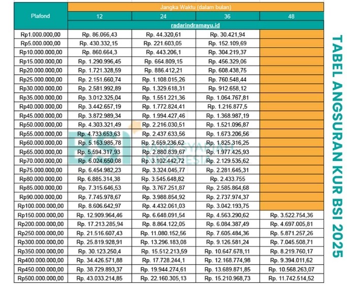Solusi Pinjaman Syariah Tanpa Bunga, Berikut Pinjaman Non KUR BSI 100 juta dengan Cicilan 71 Ribu per Bulan