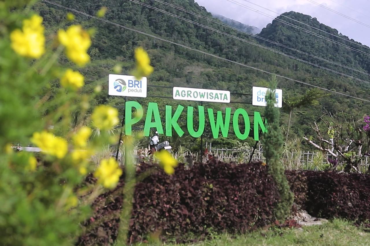 Lewat Program Desa BRILiaN, Desa Pajambon di Kuningan Jadi Contoh Transformasi Ekonomi Desa Berbasis Lokal 