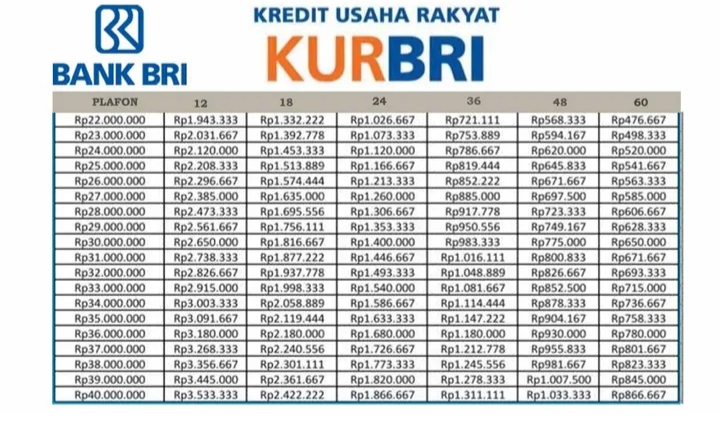 KUR BRI 30 Juta Cicilan Berapa? Cek Tabel Angsuran KUR BRI 2025 Terupdate, Buat Modal Usaha Lebih Berkembang!