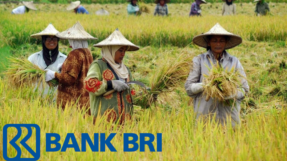 KUR BRI 2025: Tambahan Modal dengan Angsuran Ringan, Hasil Maksimal? Petani dan Peternak Wajib Tahu!