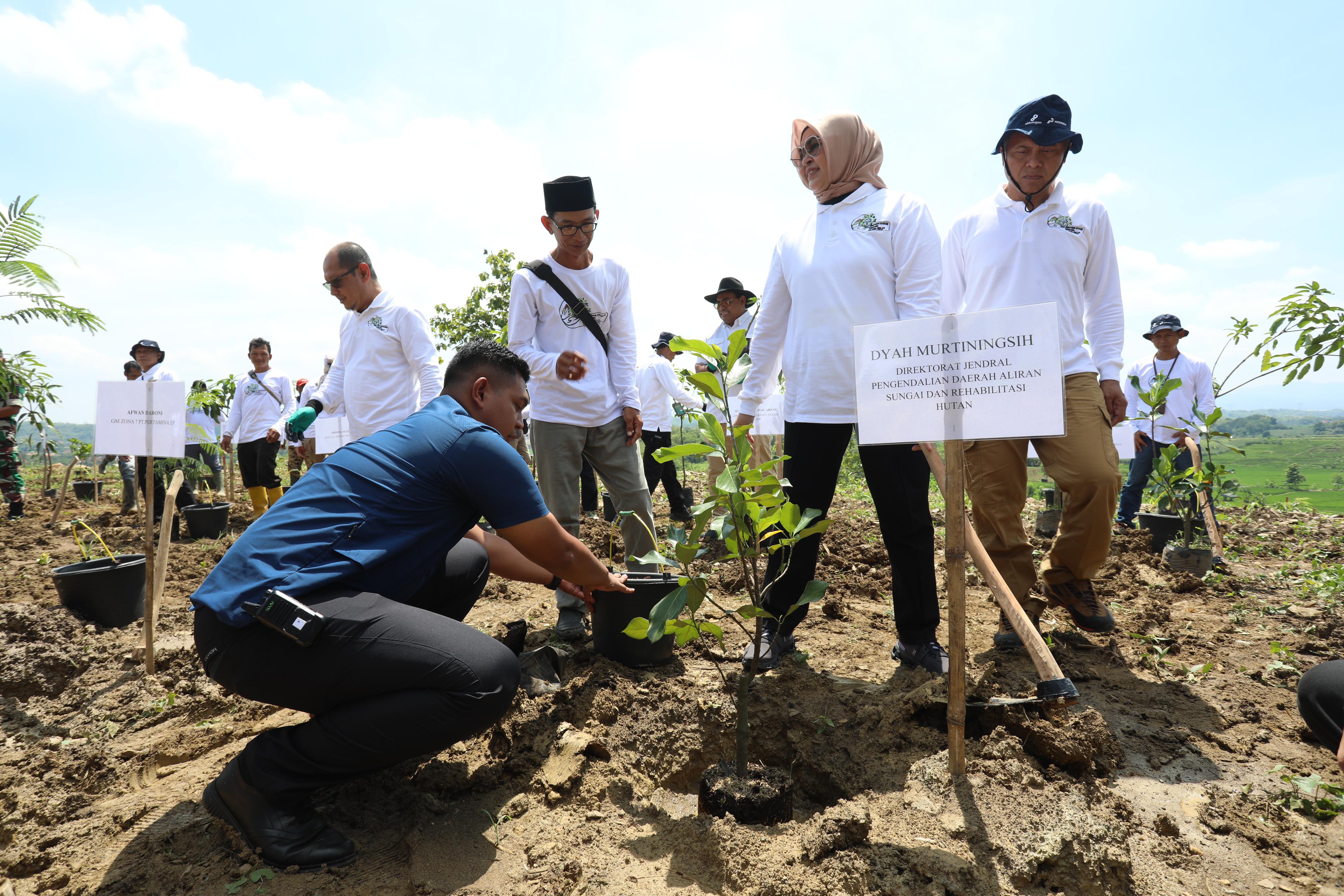 Pertamina EP Pulihkan Lingkungan dengan Rehabilitasi DAS Seluas 23,27 Hektare di Jawa Barat