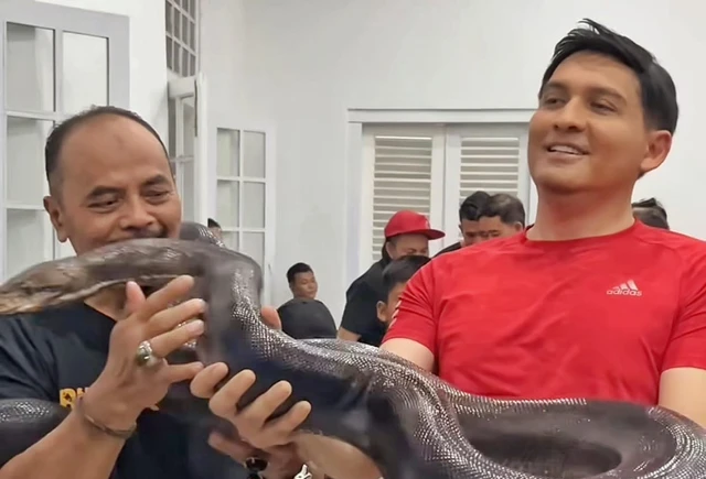 Kendalikan Hama Tikus, Bupati Indramayu Lepas Beragam Jenis Ular ke Sawah 