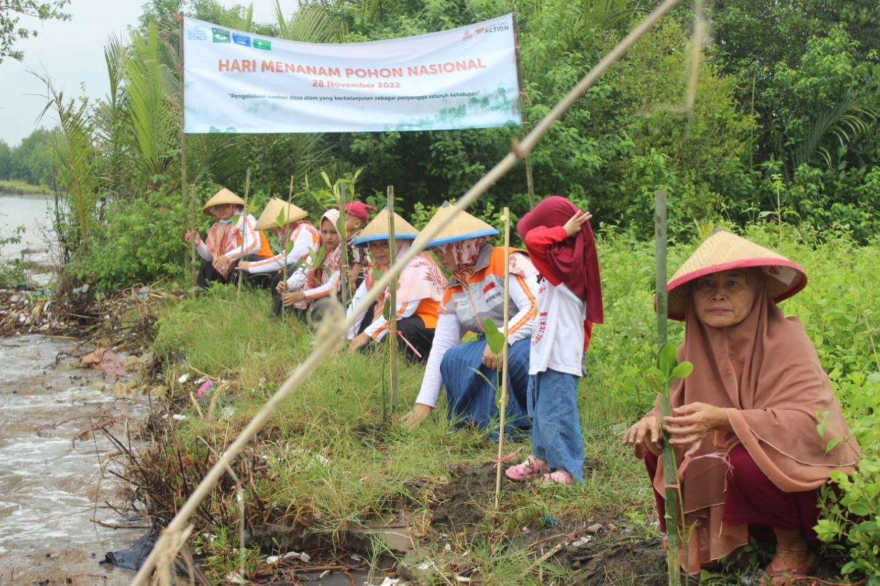 Ajak Lansia, Rumah Zakat Tanam Pohon Mangrove