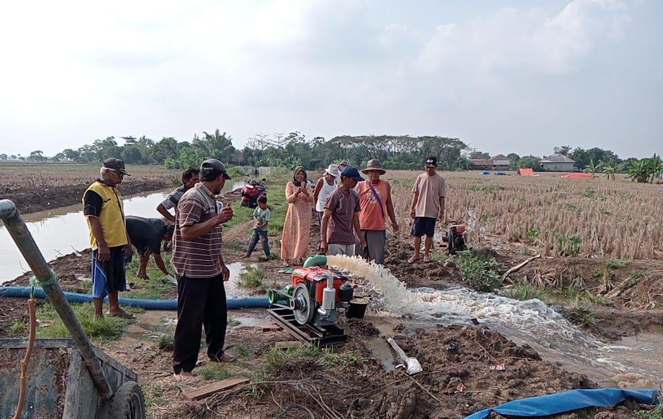 Sebelum Kemarau Datang, Upaya Antisipasi Kekeringan Gencar Dilakukan 