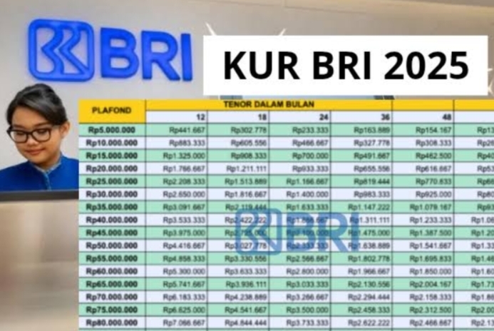 Tabel Angsuran KUR BRI Plafon 25 Juta, Cicilan Terbaru Rp216.667 Ribu! Spesial Mei 2025 UMKM Wajib Lihat