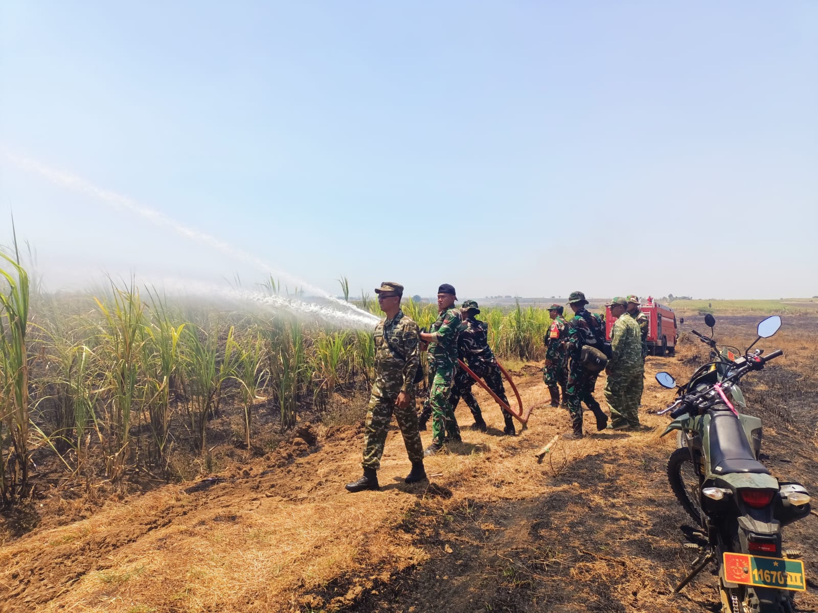 TNI Bersama Warga Berhasil Padamkan Kebakaran Lahan Tebu di Indramayu 