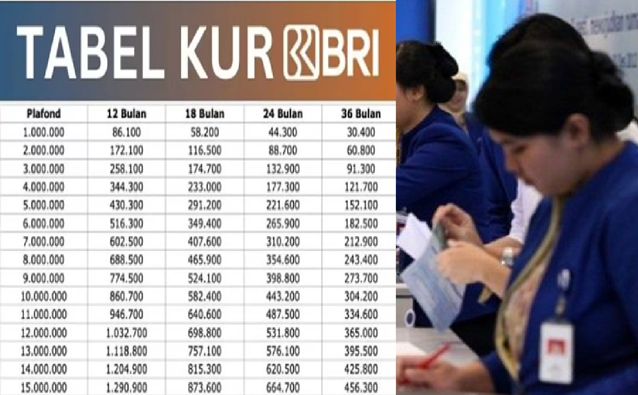 UMKM Wajib Tahu! Begini Tutorial Agar Berhasil Mengajukan Pinjaman KUR BRI 2025 Pafon Rp100 Juta