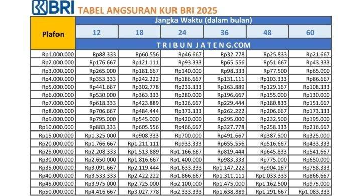 Jangan Lewatkan! Inilah Rahasia Usaha Makin Maju Dengan Pinjaman Modal Hingga Rp500 Juta dan Bunga Ringan! 
