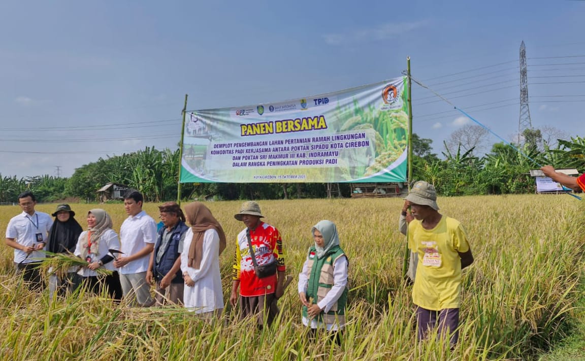 Kolaborasi Kembangkan Pertanian Organik di Kota Cirebon