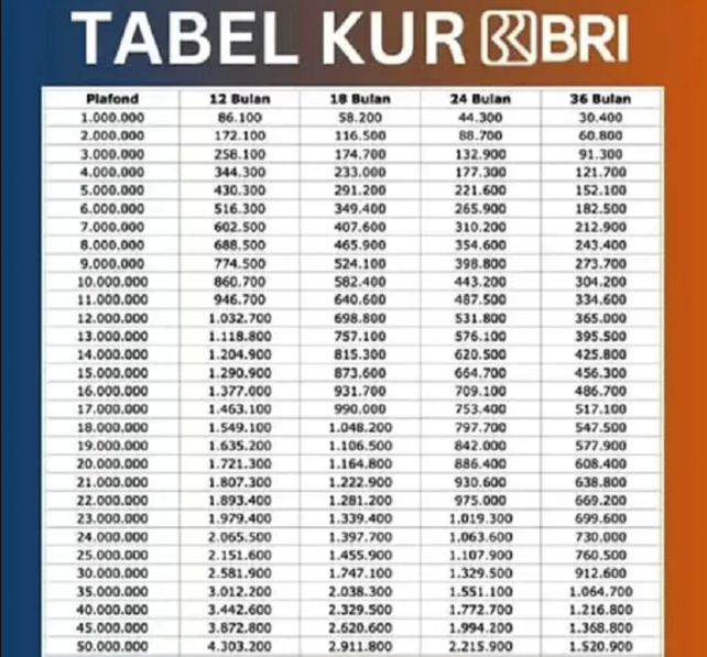 Cek Tabel Angsuran Pinjaman KUR BRI Mikro 2025! Cicilan Ringan Mulai Dari Rp88 Ribu Saja!