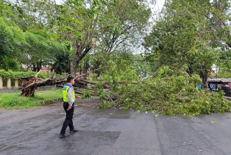 Waspada! Hujan dan Angin Kencang di Wilayah Ciayumajakuning