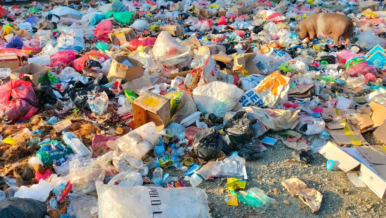 Kabar Baik! Indonesia Ubah Sampah Plastik Jadi Produk Bernilai dengan Teknologi Radiasi