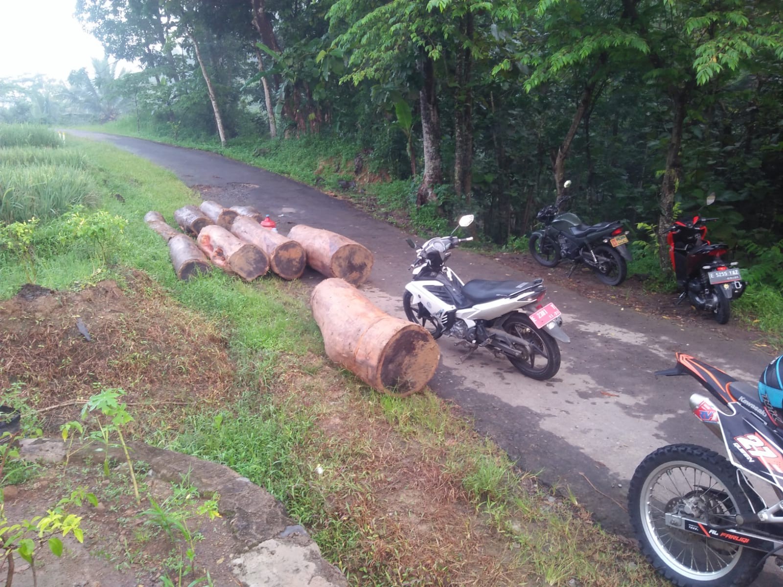 Babinsa dari Koramil Ciwaru Berhasil Gagalkan Pencurian Kayu di Hutan