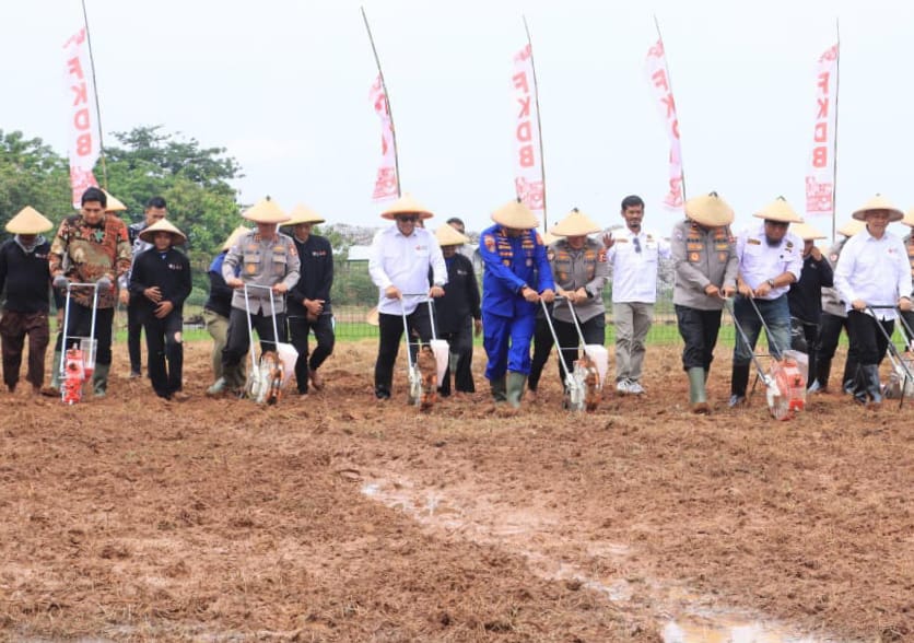 Perkuat Ketahanan Pangan Kabaharkam Polri Komjen Karyoto Pimpin Tanam Jagung di Indramayu