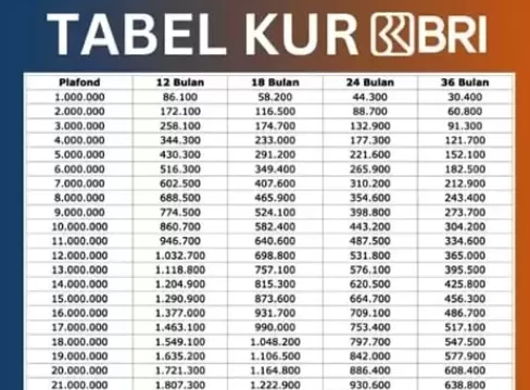 Berapa Tenor Tertinggi KUR BRI 2025? Apakah Bisa Cair Hanya Dengan Modal KTP Saja?