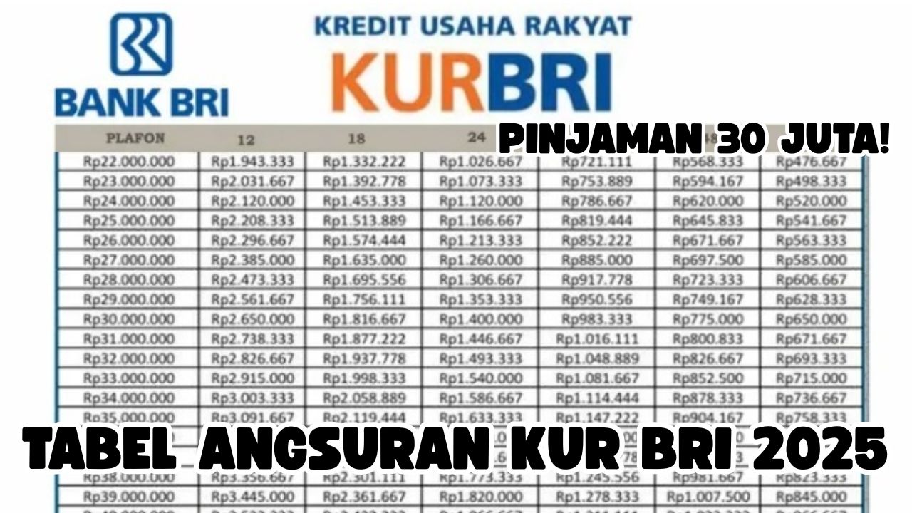 Tabel Angsuran KUR BRI 2025 Pinjaman 30 Juta: Solusi Terbaik Untuk Modal Usaha Dengan Cicilan Super Ringan!