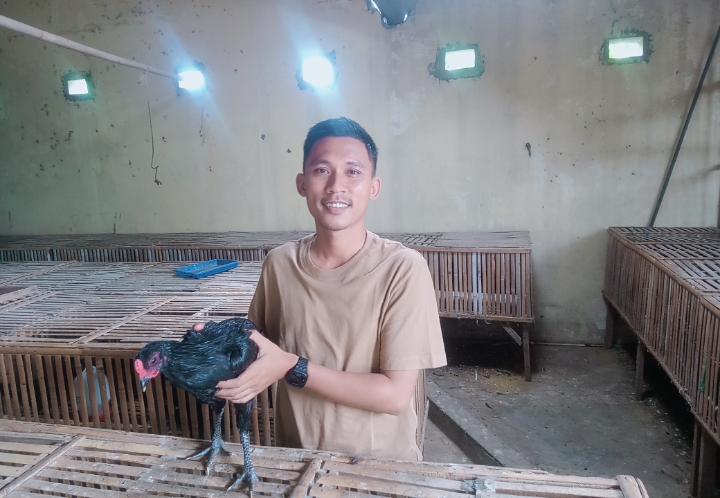 Dari 25 Ekor Ayam Menuju 7.000, Perjalanan Kasadi Membangun Usaha Ayam Kampung di Pabean Udik