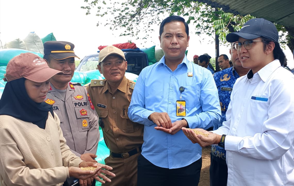 Bulog Indramayu Optimis Bisa Capai Target Penyerapan Gabah