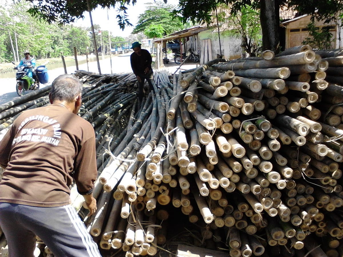 Jelang HUT RI Pedagang Bambu Kebanjiran Order