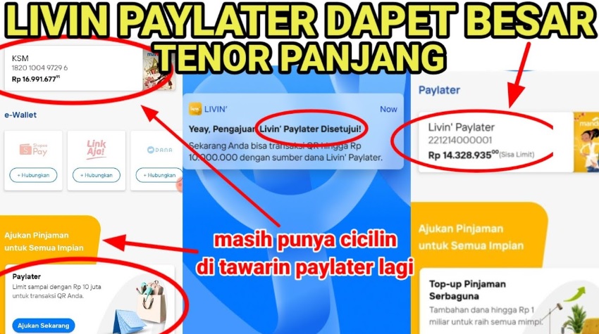 Cara Aktifkan Livin' Paylater dari Bank Mandiri, Dapatkan Limit Pinjaman 20 Juta Serta Bunga Mulai 0 Persen