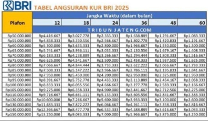 Berapa Angsuran KUR BRI 100 Juta 5 Tahun? Jadi Pilihan UMKM dalam Ekspansi Bisnis! Cek Skemanya