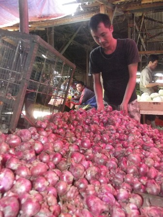 Kentang Langka Harga Bawang Merah Terjun Bebas, Ternyata Ini Penyebabnya!