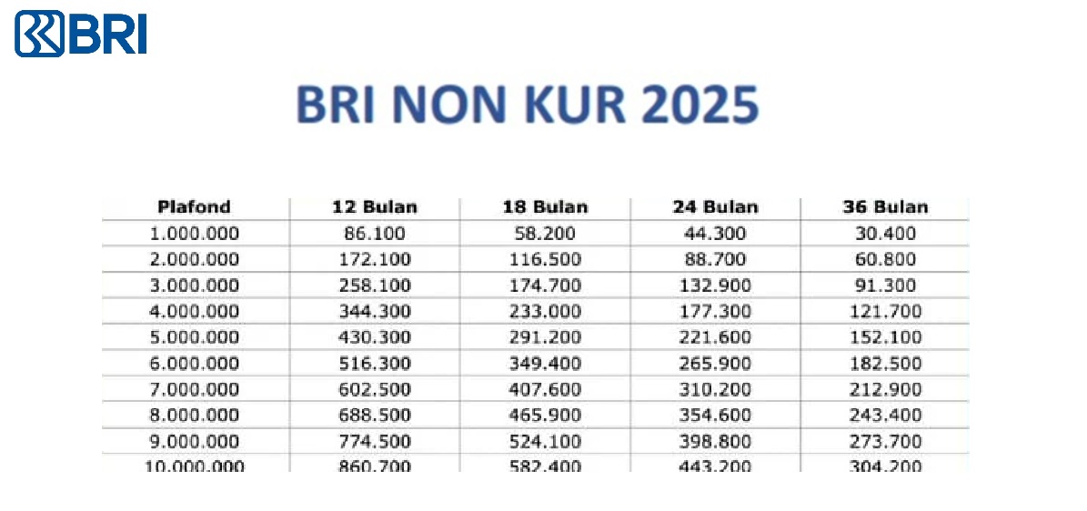 Syarat Ajukan Pinjaman Non-KUR BRI 2025 Apa Aja? Serta Berapa Cicilan Terendahnya?