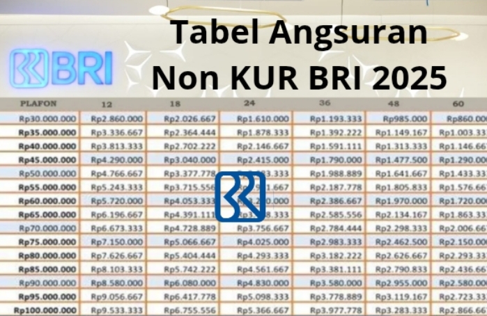 Rincian Terbaru, Pinjaman Non KUR BRI Mei 2025 Plafon 50 Juta Cicilan per bulan Rp598.000 Ribu! Cek Skemanya 