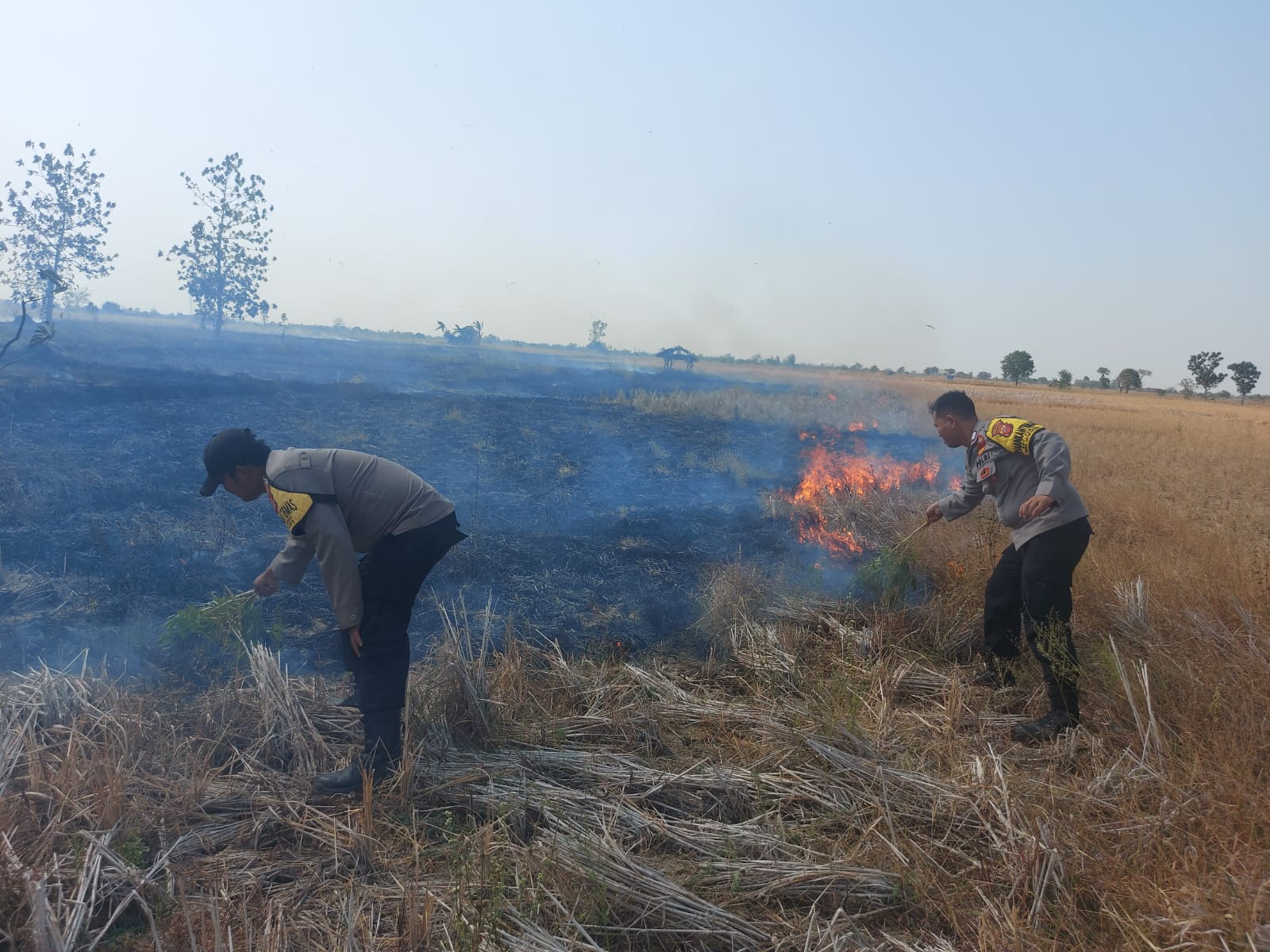 Kebakaran Melanda Kawasan Hutan Cikawung, Simak Daftar Kecamatan Rawan Karhutla
