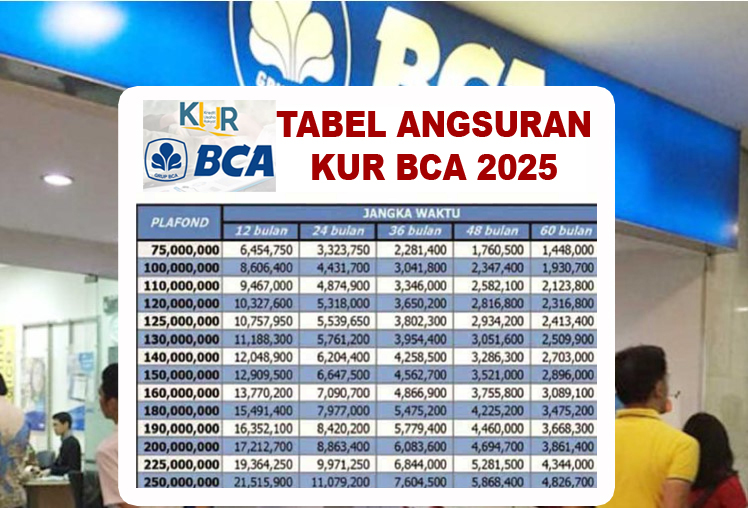 KUR BCA 2025 Tanpa Jaminan! Tabel Angsuran Rp100 Juta, Cicilan Mulai Rp1 Jutaan, Ajukan Online Proses Cepat
