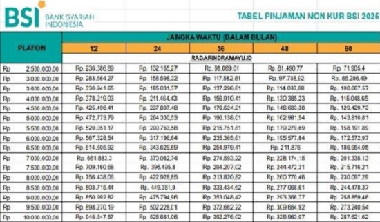 Rincian Terbaru Pinjaman Non KUR BSI Plafon 200 Juta, Dapatkan Tabel Cicilan Mulai dari 236 Ribuan per Bulan