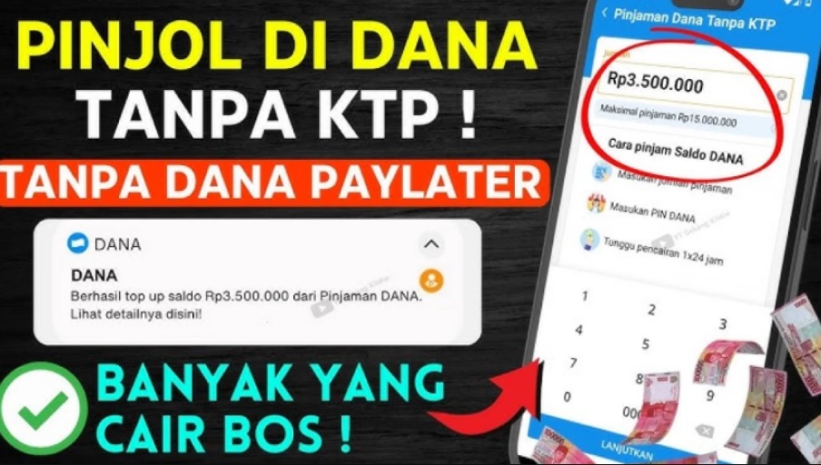 Resmi OJK! Ini Cara Pinjam Saldo Dana Tanpa Dana Paylater dan Dapatkan Pinjaman Hingga Rp 3,5 Juta