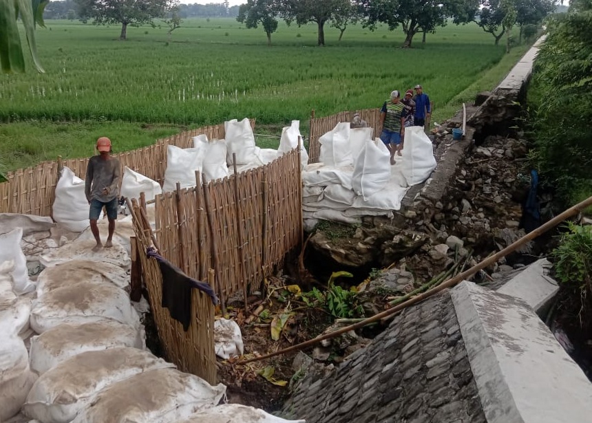 Warga Desa Tersana Gotong Royong Perbaiki Tanggul Ambles