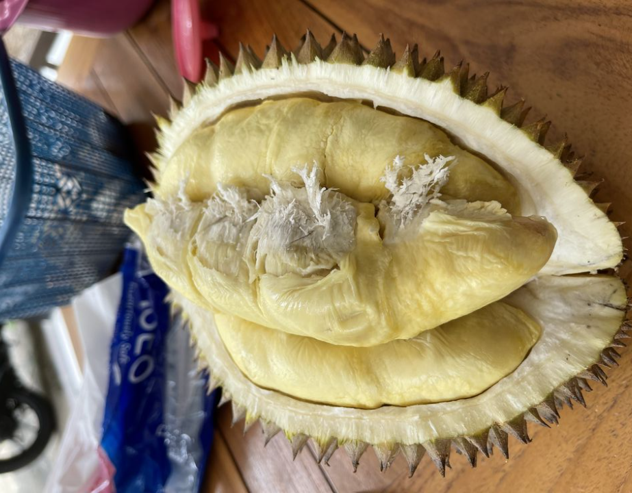 5 Penyakit yang Bisa Diredakan dengan Mengonsumsi Buah Durian Secukupnya 