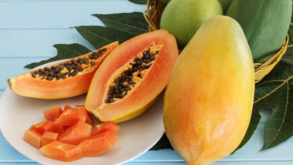 Pepaya California Ternyata Asli Indonesia! Bukan dari Amerika, Ini Fakta Unik dan Keunggulannya yang Menarik