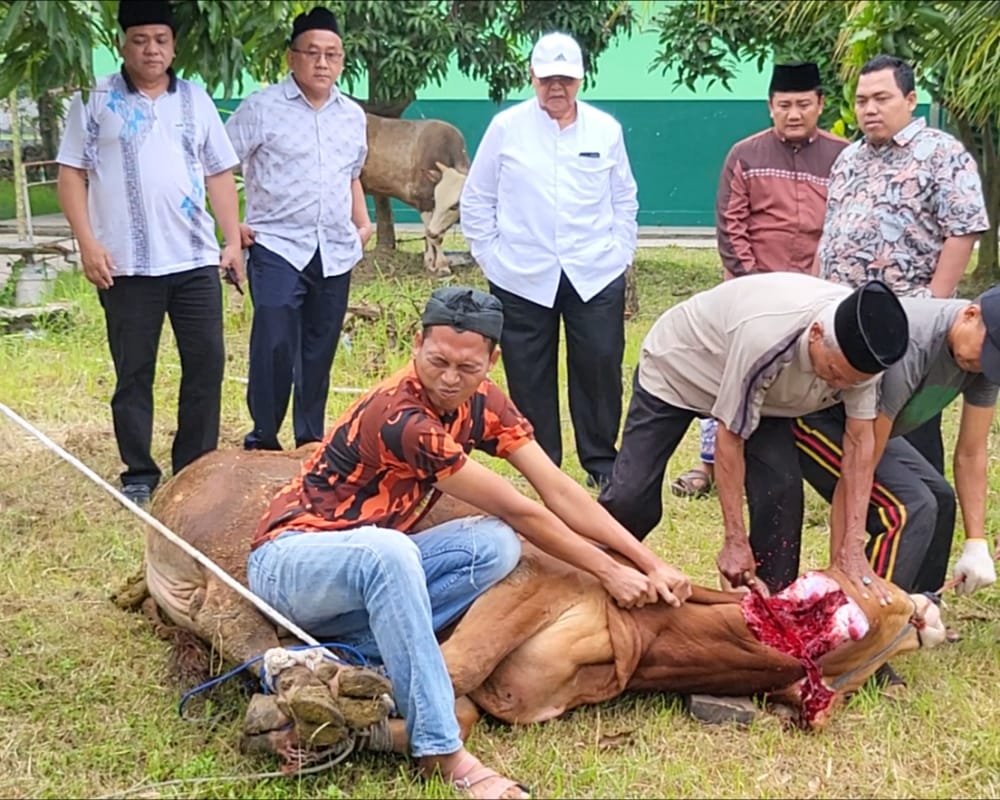 Gus Muhaimin Potong Sapi di Yayasan Darul Ma'arif Kaplongan Indramayu