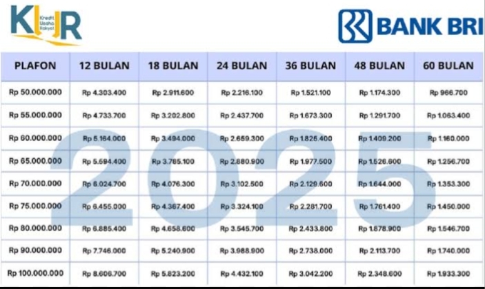 Pinjaman KUR BRI 50 Juta, Angsuran Berapa? Edisi Bulan Juni 2025, Cicilan Lebih Ringan dari Skema Terbarunya