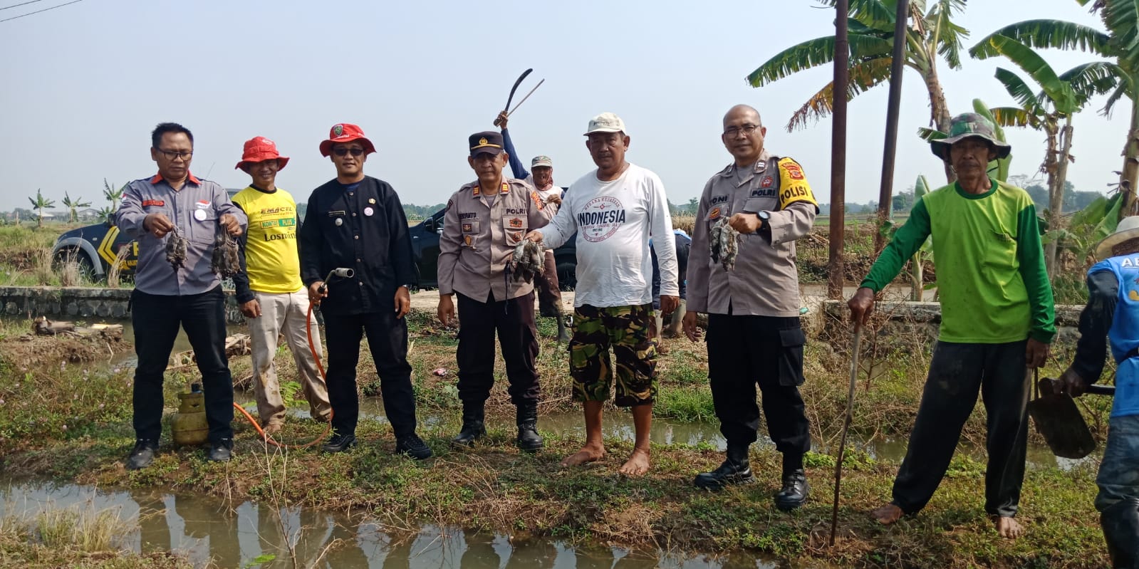 Imbau Petani Tak Gunakan Jebakan Tikus Beraliran Listrik